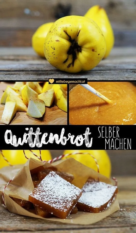 Hausgemachtes Quittenbrot aus frischen Quitten zubereitet